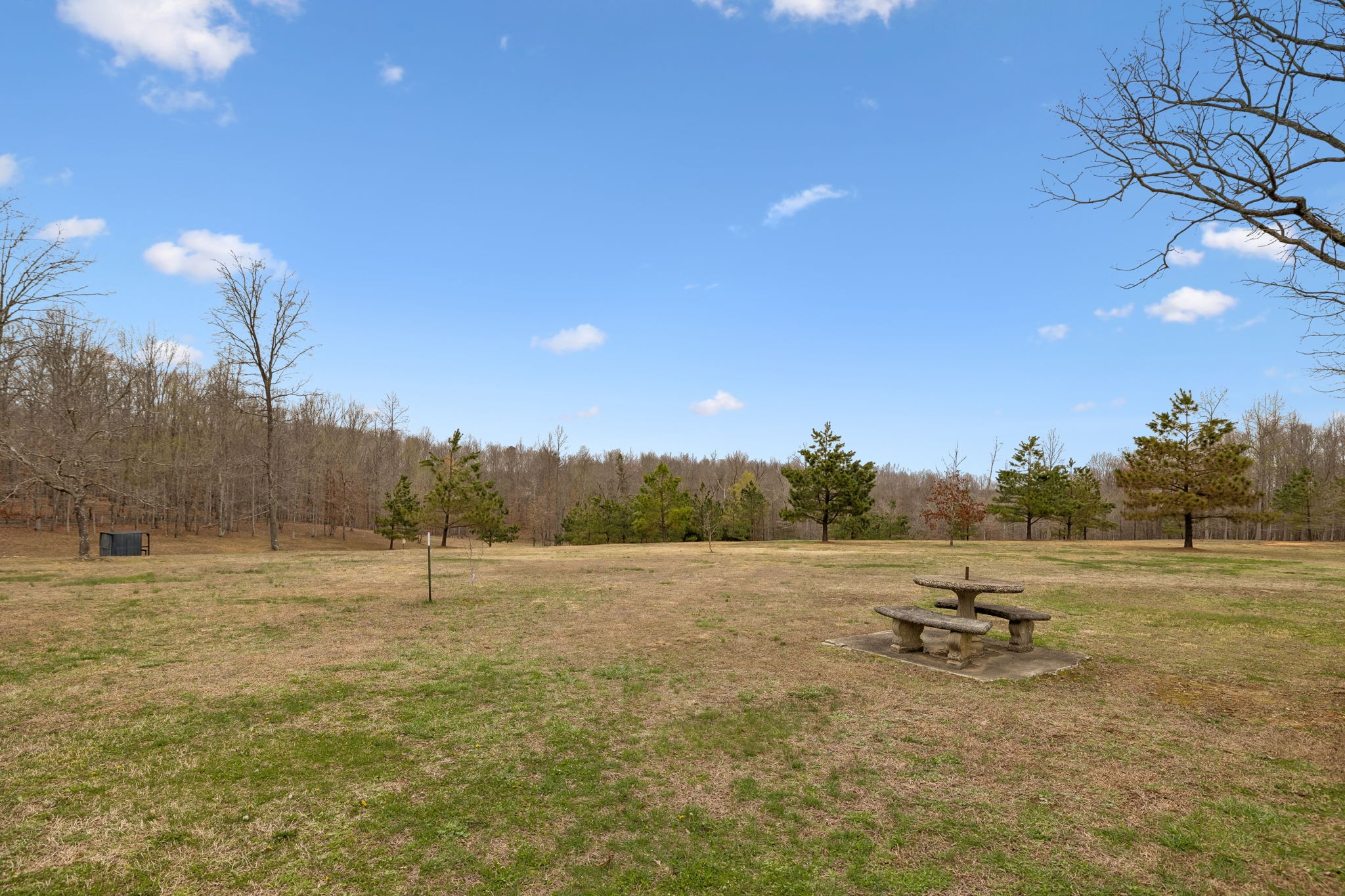 165 Pond Creek Road Summertown, TN 38483 - Photo 60 of 79 a view of a field with trees in background