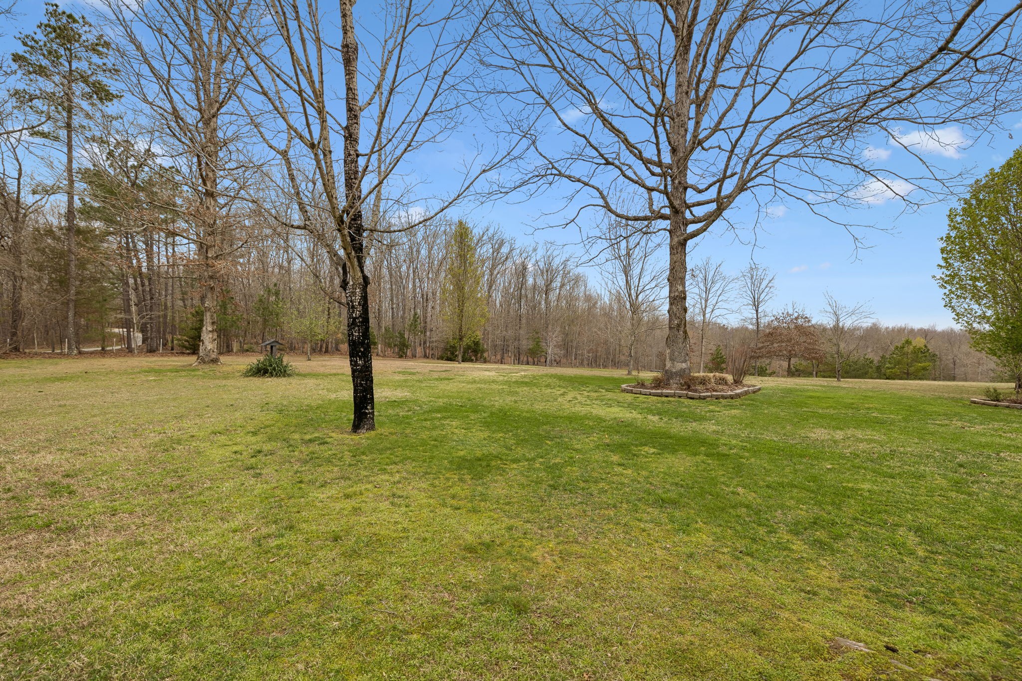 165 Pond Creek Road Summertown, TN 38483 - Photo 61 of 79