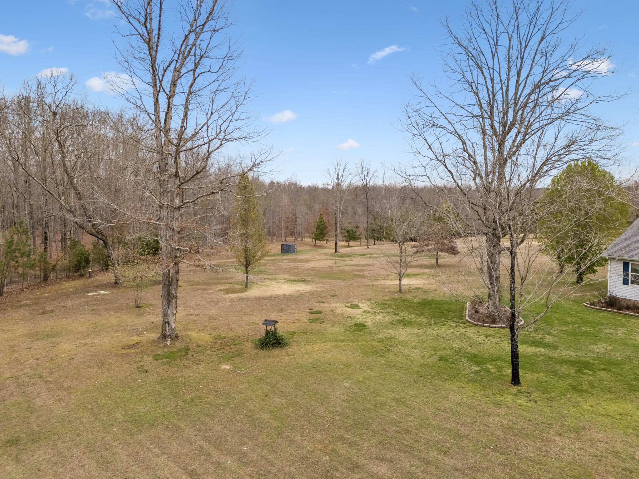 165 Pond Creek Road Summertown, TN 38483 - Photo 63 of 79 a view of dirt yard with a tree
