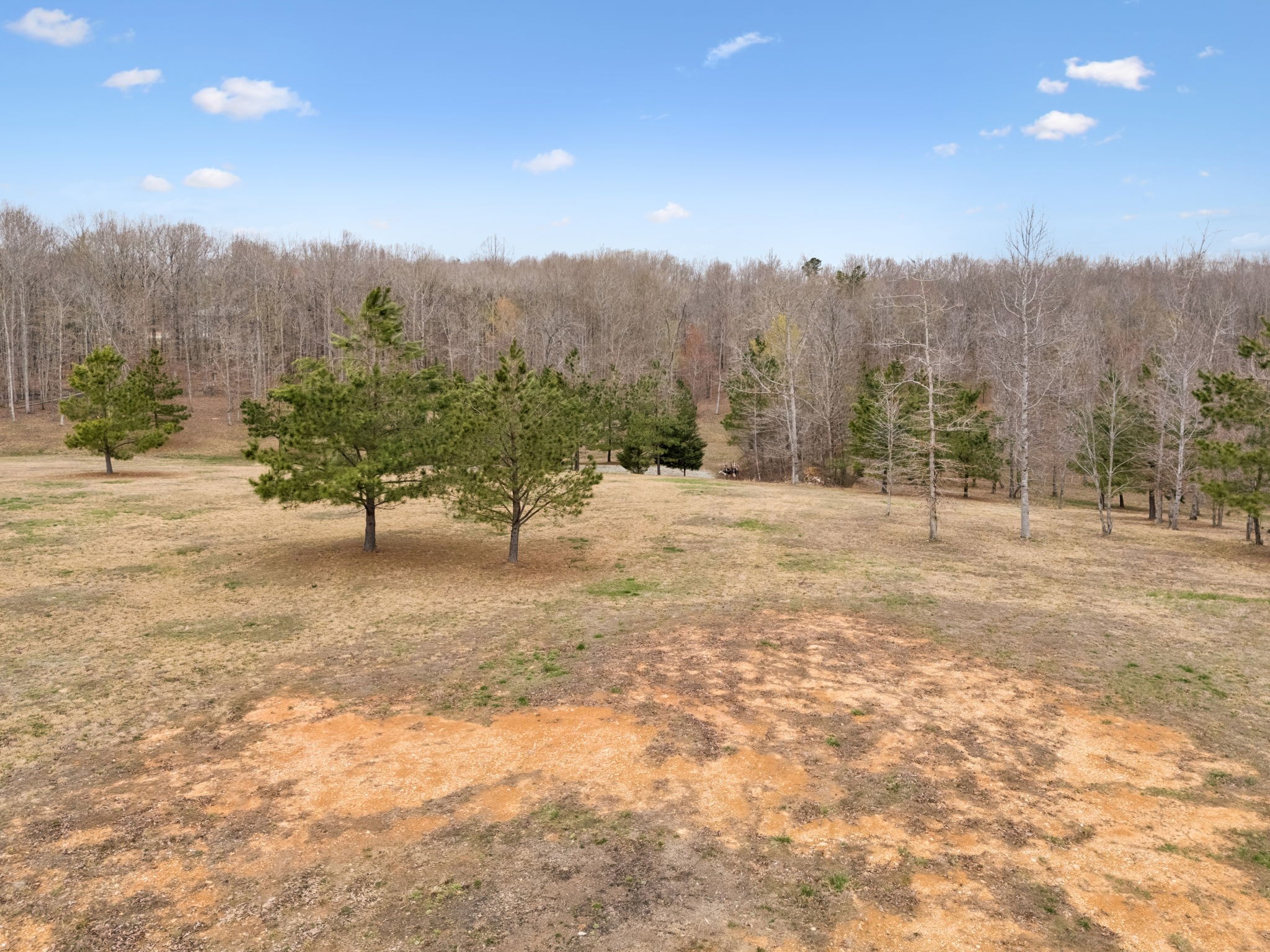 165 Pond Creek Road Summertown, TN 38483 - Photo 71 of 79 a view of a backyard of the house
