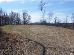 0 Bledsoe Road Pulaski, TN 38478 - Photo 1 of 5 Gallery Image 1