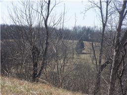 0 Bledsoe Road Pulaski, TN 38478 - Photo 3 of 5 Gallery Image 3