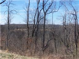 0 Bledsoe Road Pulaski, TN 38478 - Photo 4 of 5 Gallery Image 4