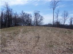 0 Bledsoe Road Pulaski, TN 38478 - Photo 5 of 5 Gallery Image 5