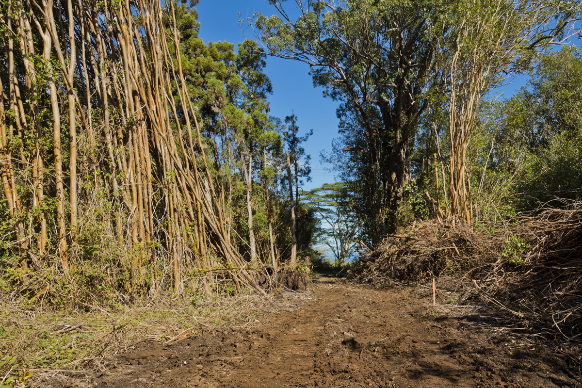 Peck Road Mountain View, HI 96771 - Photo 2 of 10