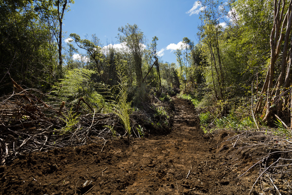 Peck Road Mountain View, HI 96771 - Photo 3 of 10