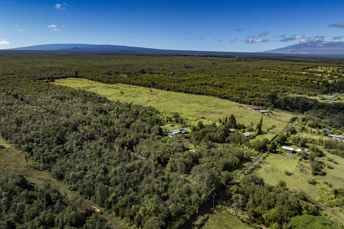Peck Road Mountain View, HI 96771 - Photo 4 of 10