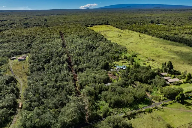a view of a field with an ocean