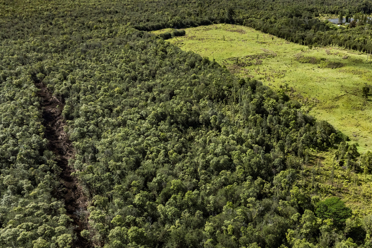 Peck Road Mountain View, HI 96771 - Photo 6 of 10