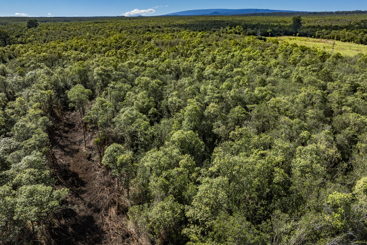 Peck Road Mountain View, HI 96771 - Photo 7 of 10