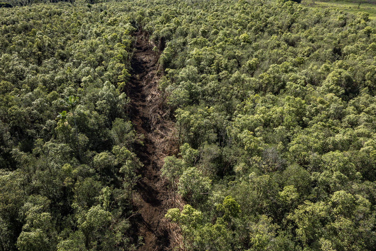 Peck Road Mountain View, HI 96771 - Photo 8 of 10