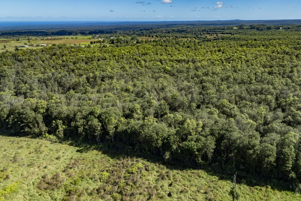 Peck Road Mountain View, HI 96771 - Photo 9 of 10