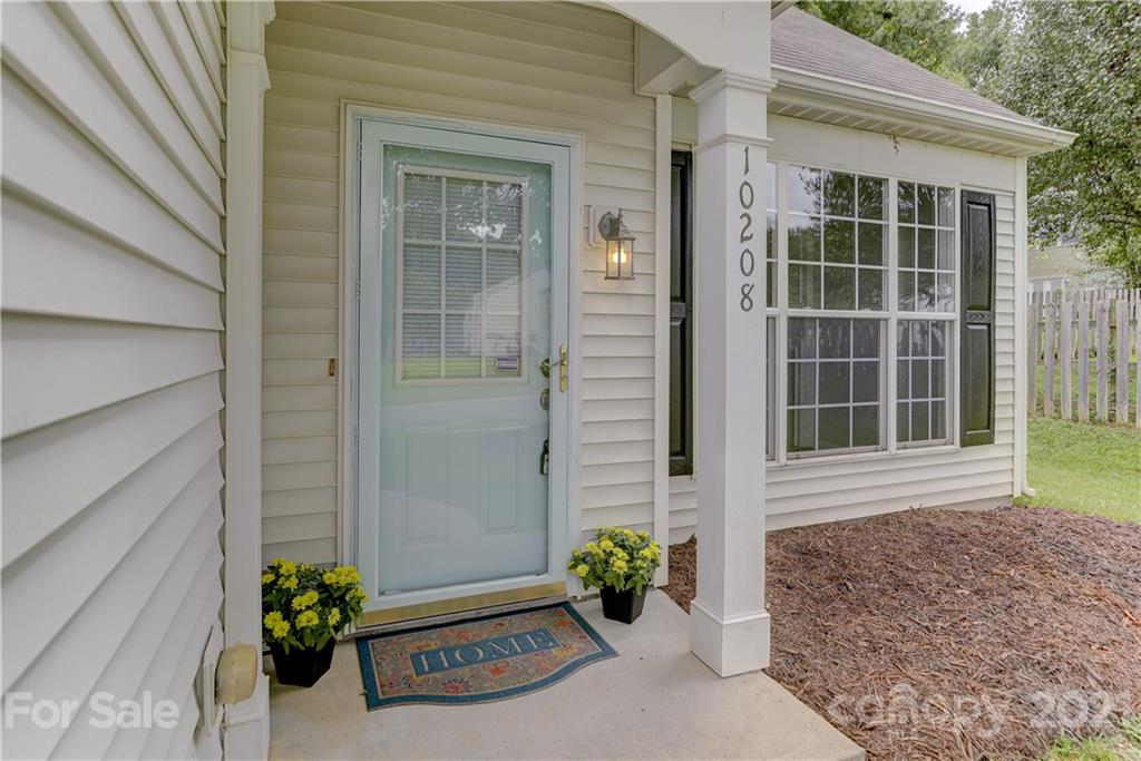 a potted plant sitting in front of a house