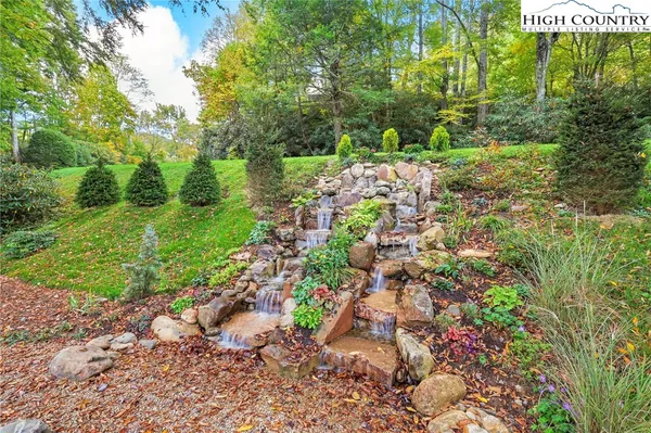 a view of a garden with plants