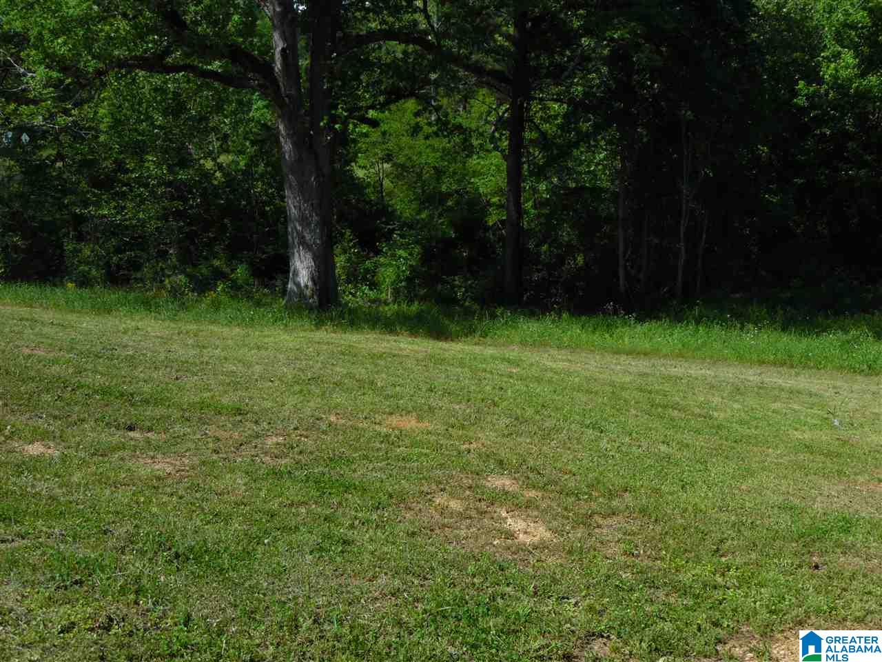 43070 Highway 25 Vincent, AL 35178 - Photo 24 of 28