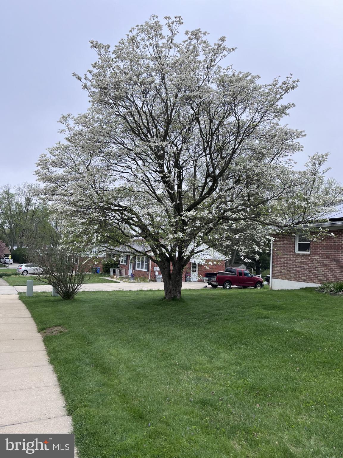405 Harrington Road Bel Air, MD 21015 - Photo 3 of 8 a view of a park with large trees