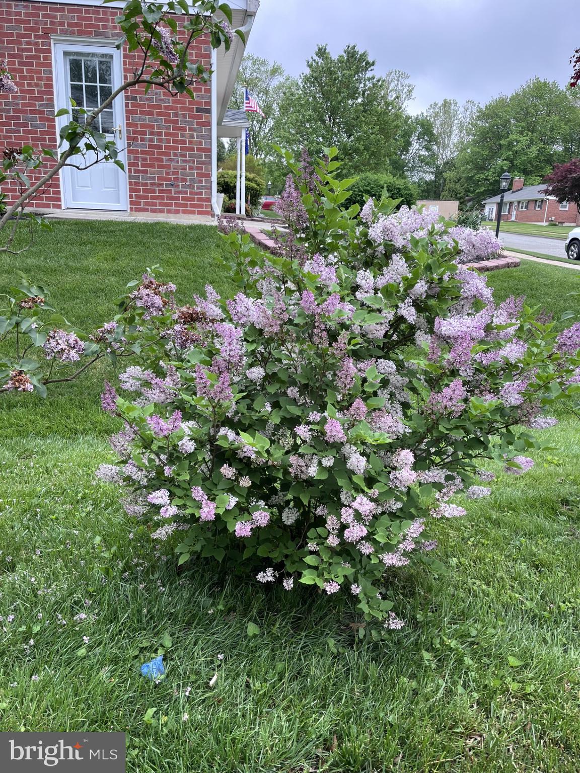 405 Harrington Road Bel Air, MD 21015 - Photo 6 of 8 a view of a house with a tree in a garden