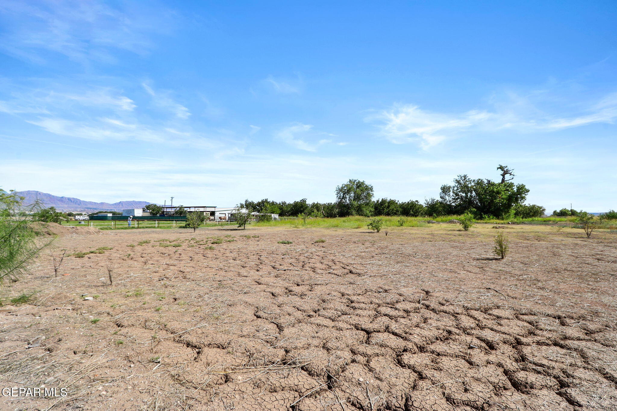810 Gato Road El Paso, TX 79932 - Photo 58 of 73 84-web-or-mls-IMG_3707