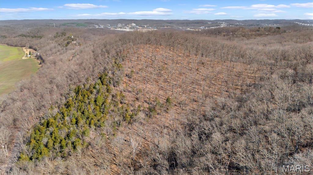 910 Wengler Road Eureka, MO 63069 - Photo 11 of 11