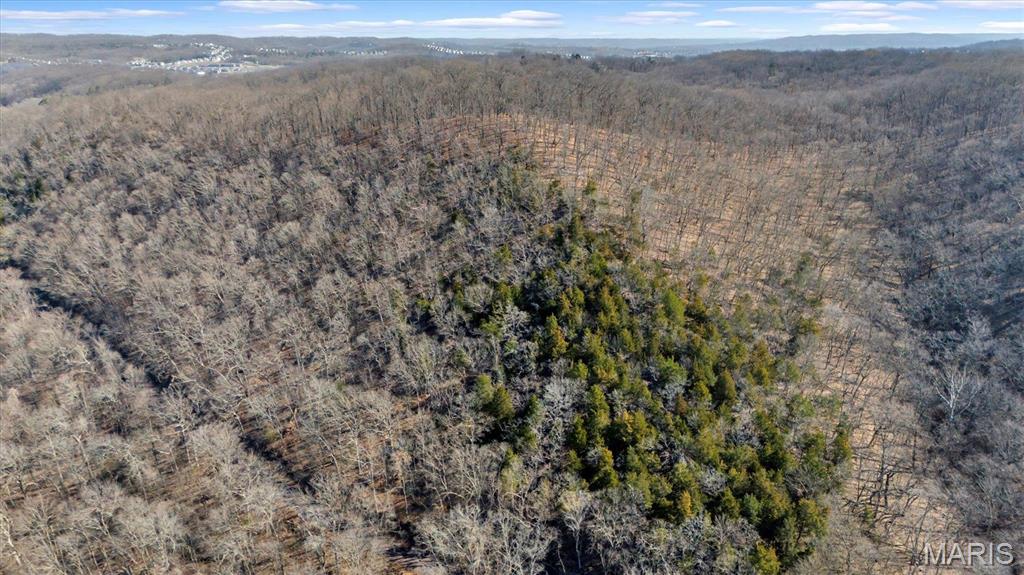 910 Wengler Road Eureka, MO 63069 - Photo 3 of 11