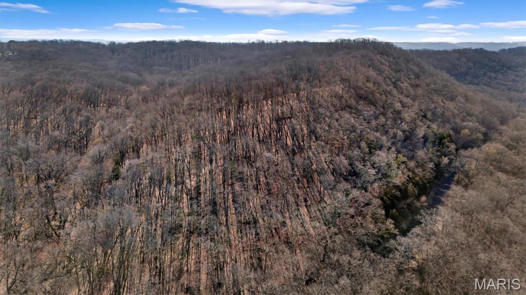 910 Wengler Road Eureka, MO 63069 - Photo 4 of 11