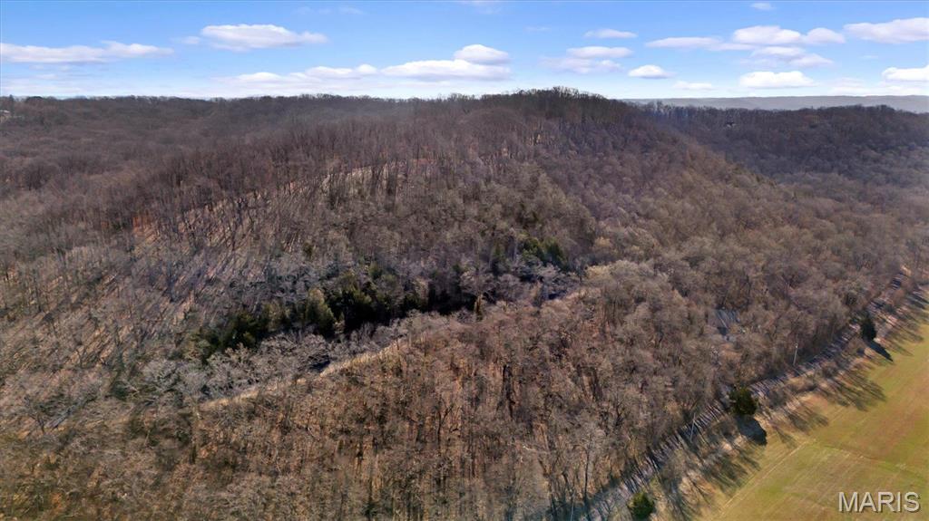 910 Wengler Road Eureka, MO 63069 - Photo 5 of 11