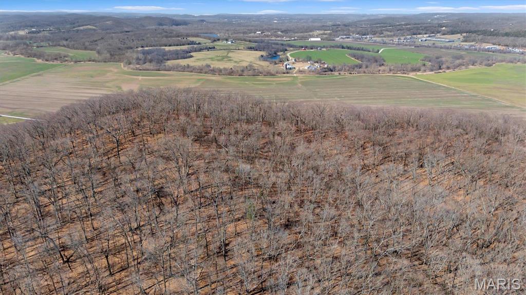 910 Wengler Road Eureka, MO 63069 - Photo 8 of 11