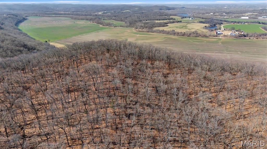 910 Wengler Road Eureka, MO 63069 - Photo 9 of 11