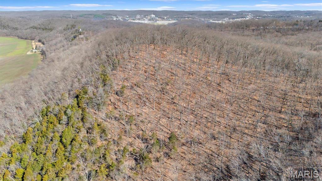 910 Wengler Road Eureka, MO 63069 - Photo 10 of 11