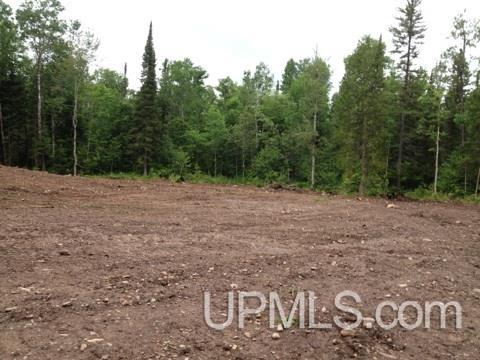 Tbd Co Rd Ppl Ishpeming, MI 49849 - Photo 22 of 30