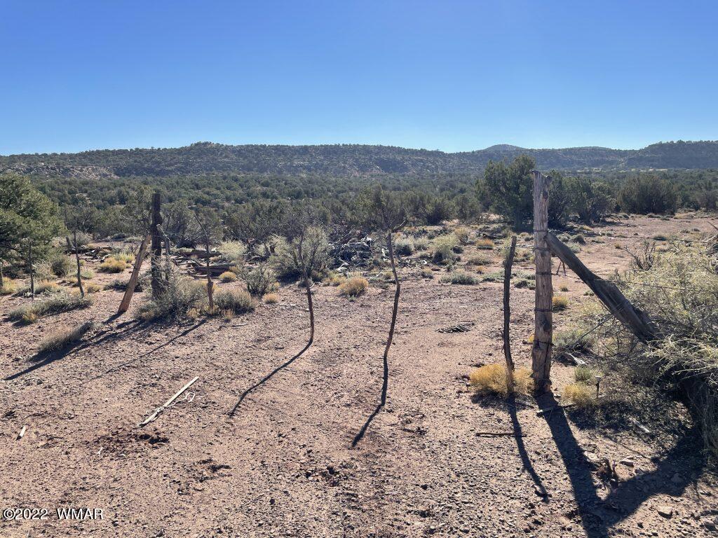 0 Black Mesa Valley Road Snowflake, AZ 85937 - Photo 11 of 25 a view of a mountain in the distance