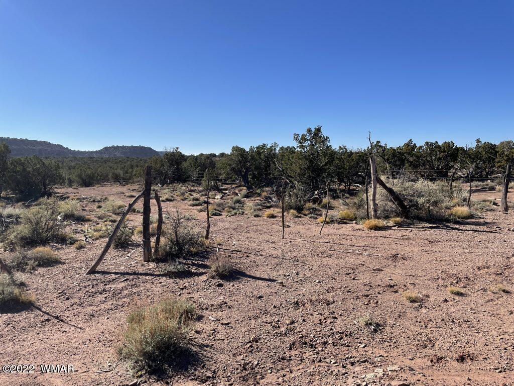 0 Black Mesa Valley Road Snowflake, AZ 85937 - Photo 12 of 25 a view of a dry yard with trees
