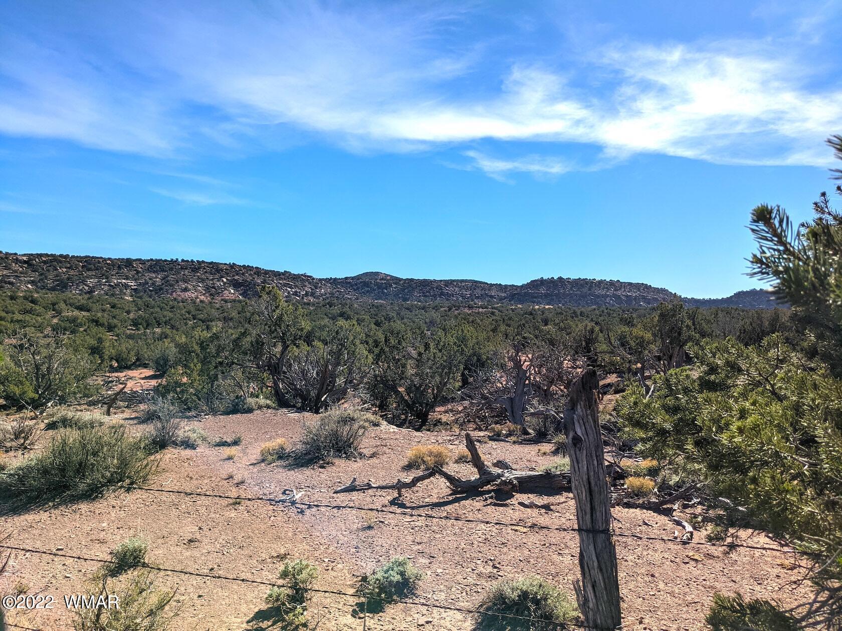 0 Black Mesa Valley Road Snowflake, AZ 85937 - Photo 22 of 25 a view of a mountain