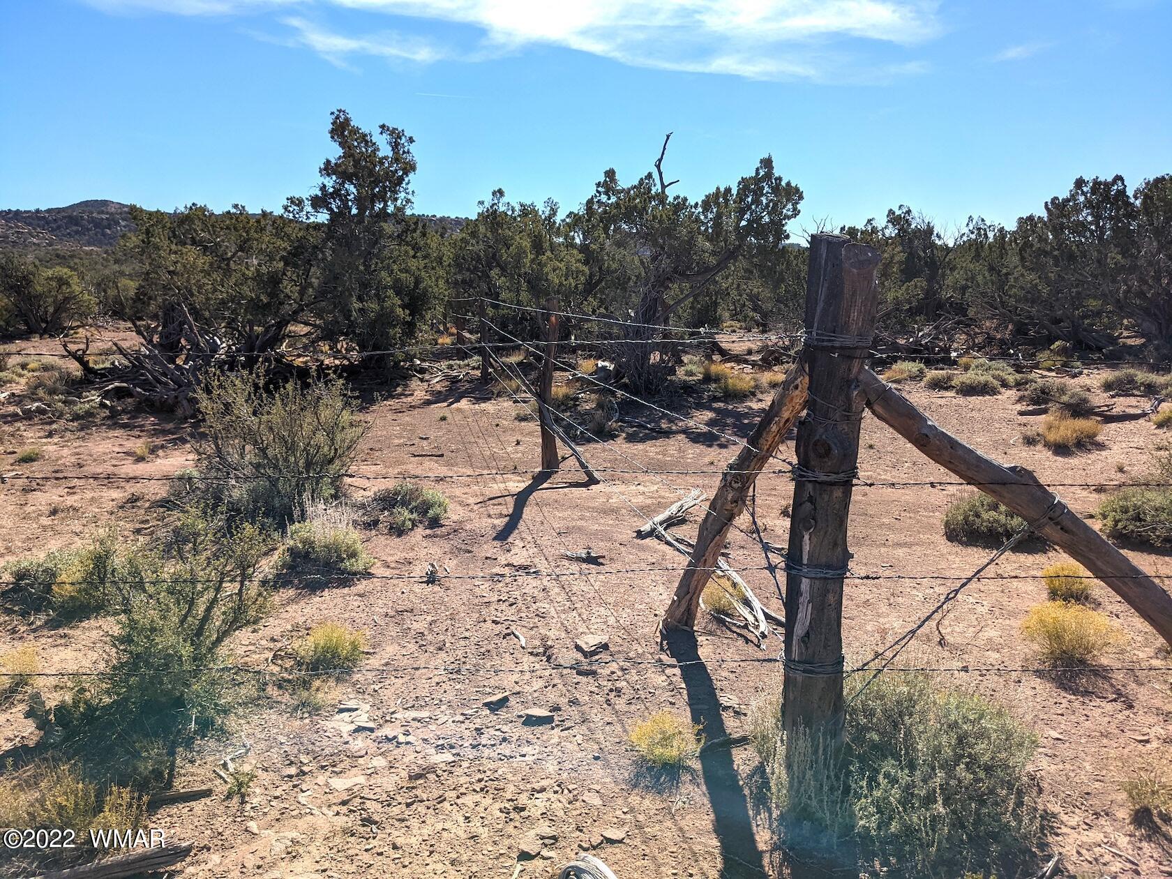 0 Black Mesa Valley Road Snowflake, AZ 85937 - Photo 24 of 25 a view of a yard with a tree