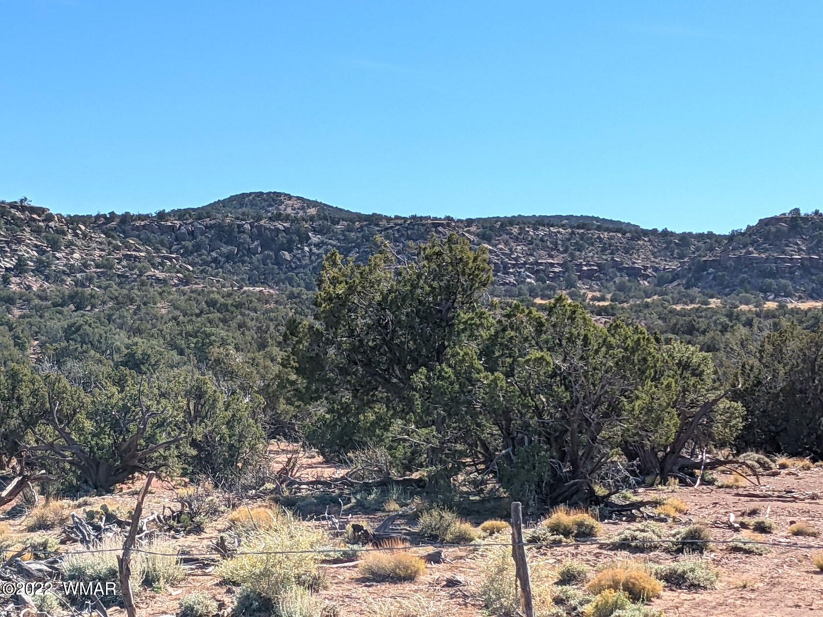 0 Black Mesa Valley Road Snowflake, AZ 85937 - Photo 3 of 25 a view of a dry yard