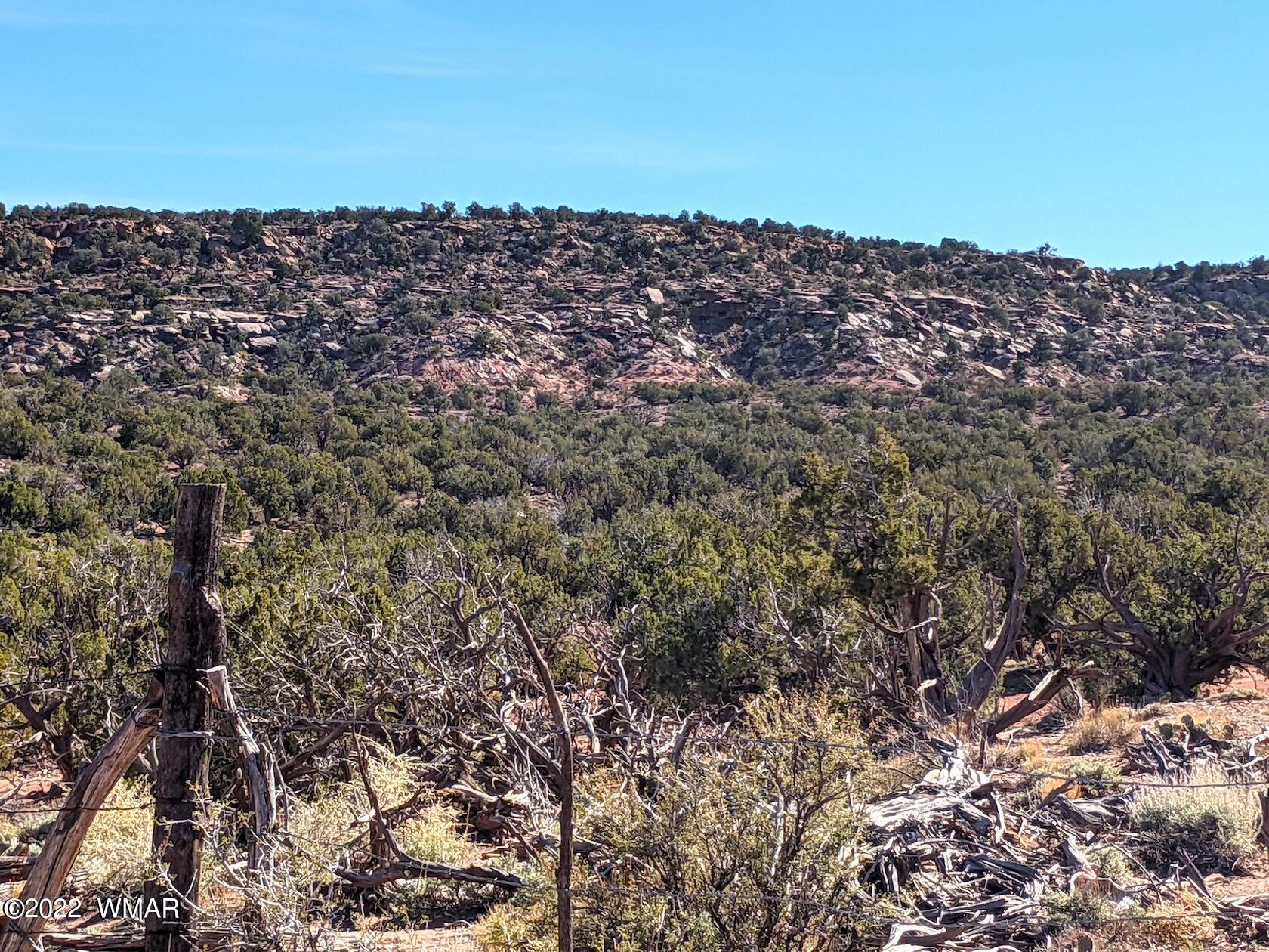 0 Black Mesa Valley Road Snowflake, AZ 85937 - Photo 6 of 25 a view of a building