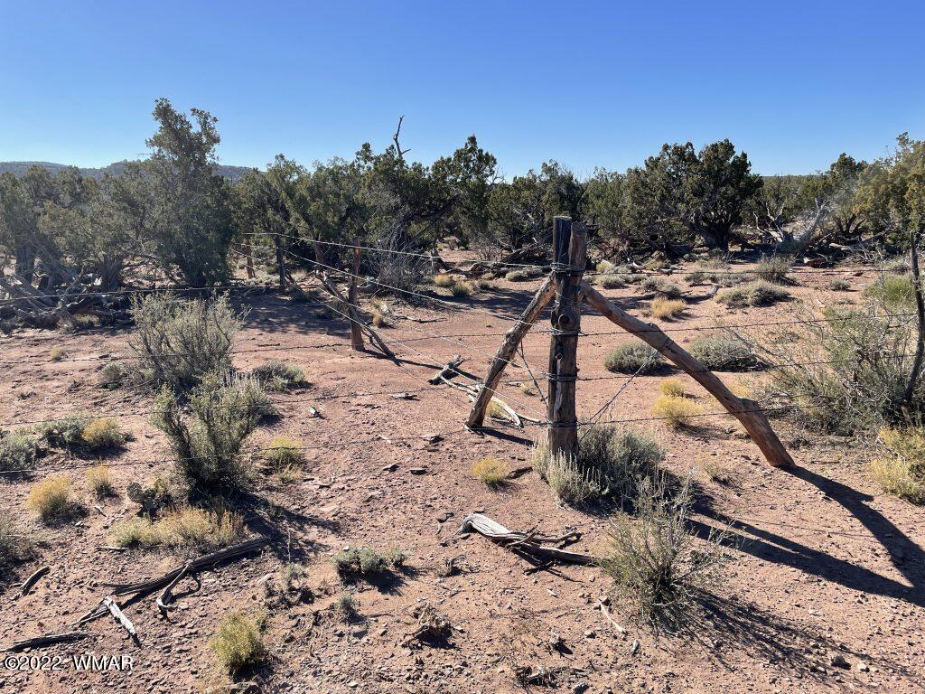 0 Black Mesa Valley Road Snowflake, AZ 85937 - Photo 8 of 25 a view of a dry yard with trees