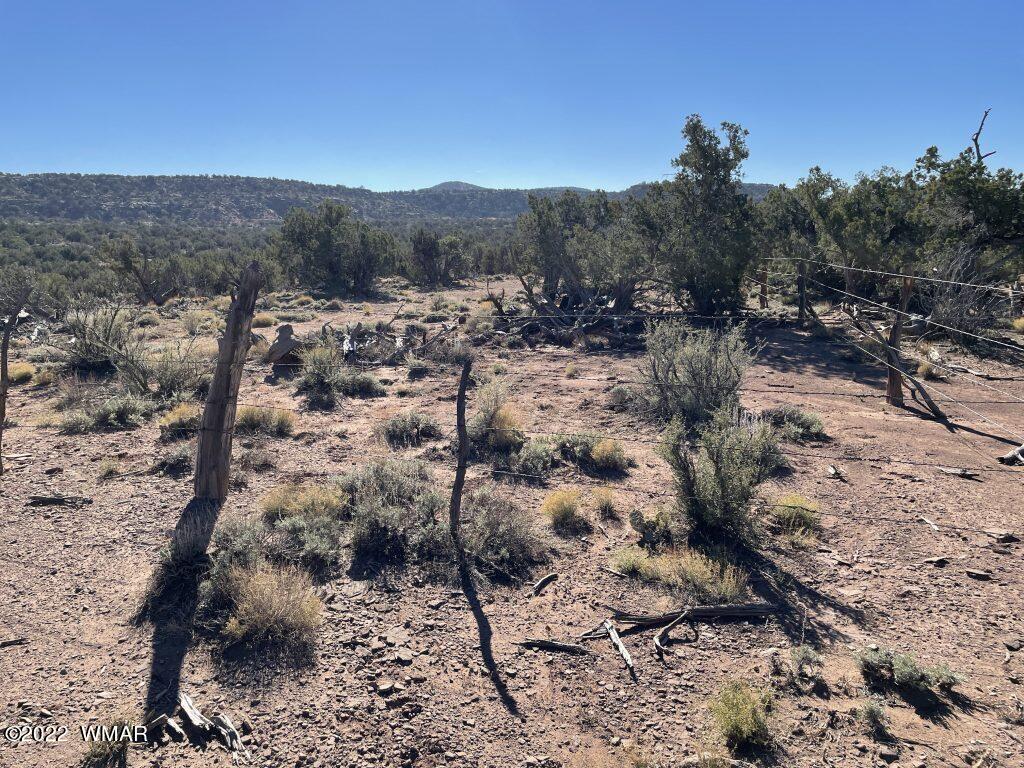 0 Black Mesa Valley Road Snowflake, AZ 85937 - Photo 10 of 25 a view of a dry field with trees in the background