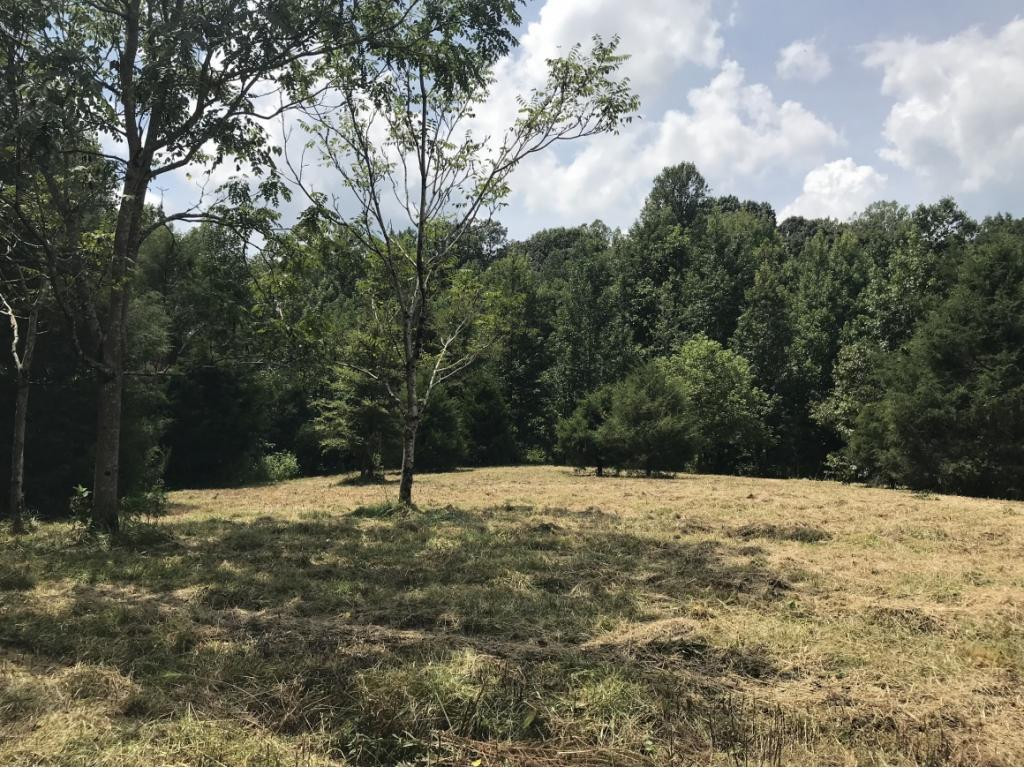 0 McBane Mill Road Graham, NC 27253 - Photo 3 of 8 Photo 3