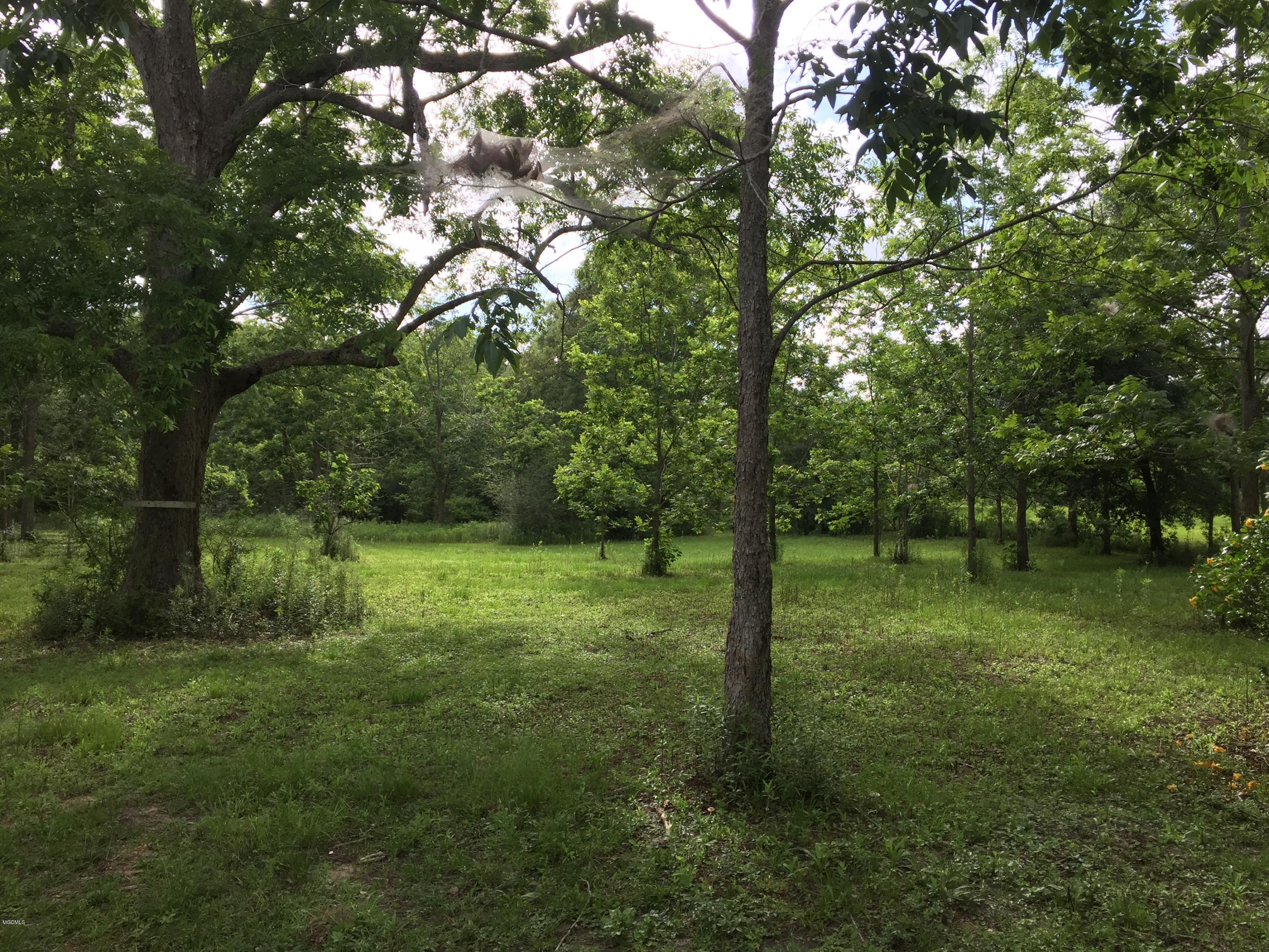 26369 Wolf Creek Road Kiln, MS 39556 - Photo 23 of 37 Orchard in spring