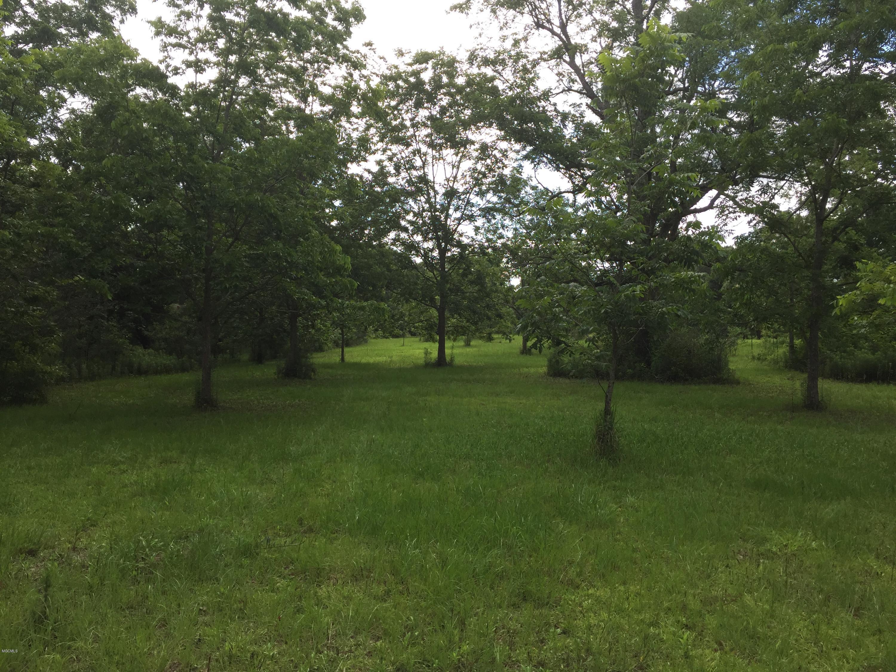 26369 Wolf Creek Road Kiln, MS 39556 - Photo 24 of 37 Orchard in spring