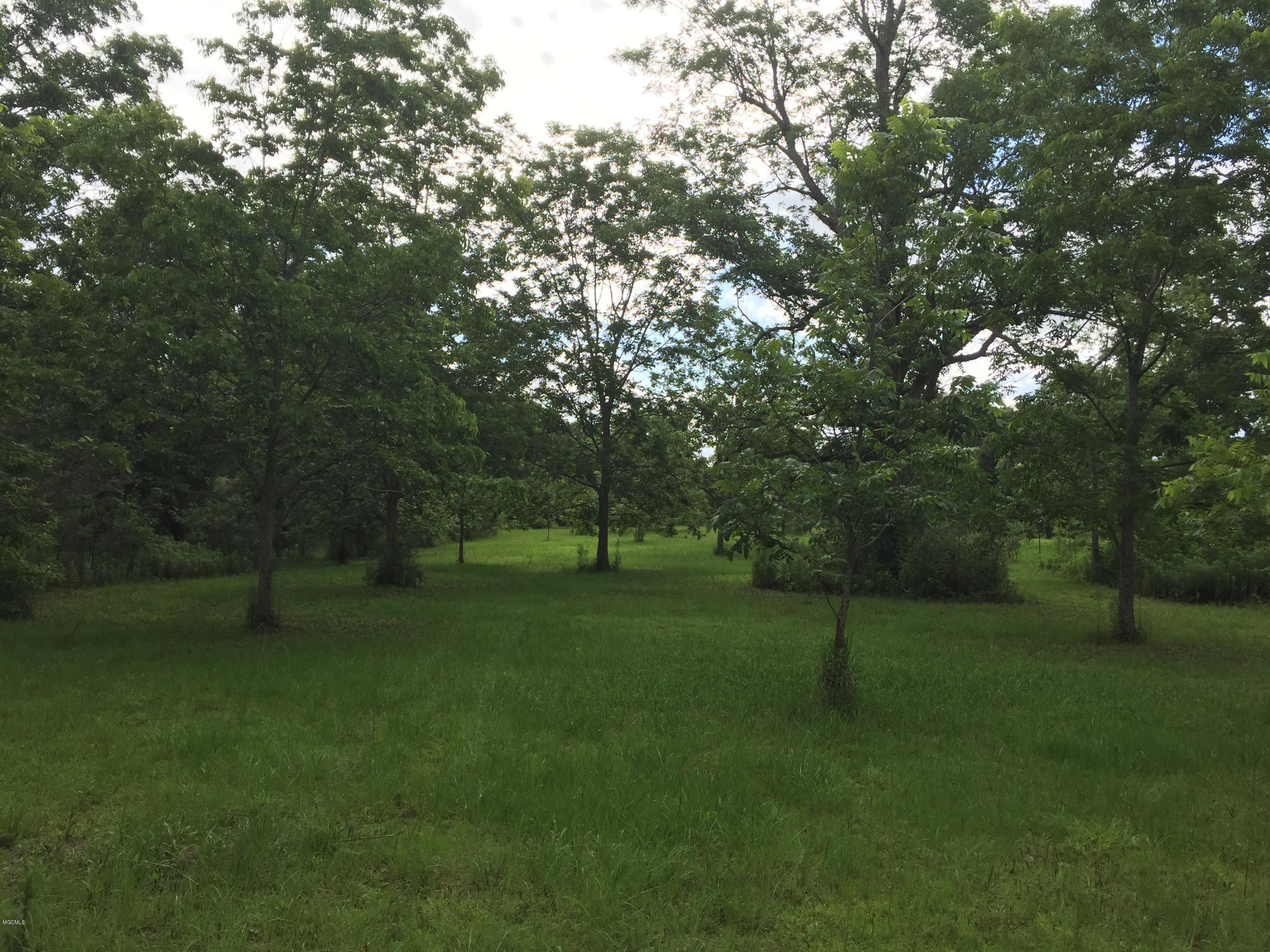 26369 Wolf Creek Road Kiln, MS 39556 - Photo 27 of 37 Orchard in spring