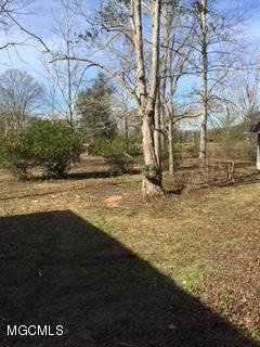 26369 Wolf Creek Road Kiln, MS 39556 - Photo 29 of 37 Orchard