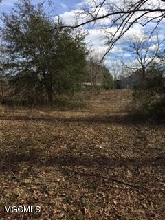 26369 Wolf Creek Road Kiln, MS 39556 - Photo 30 of 37 Orchard