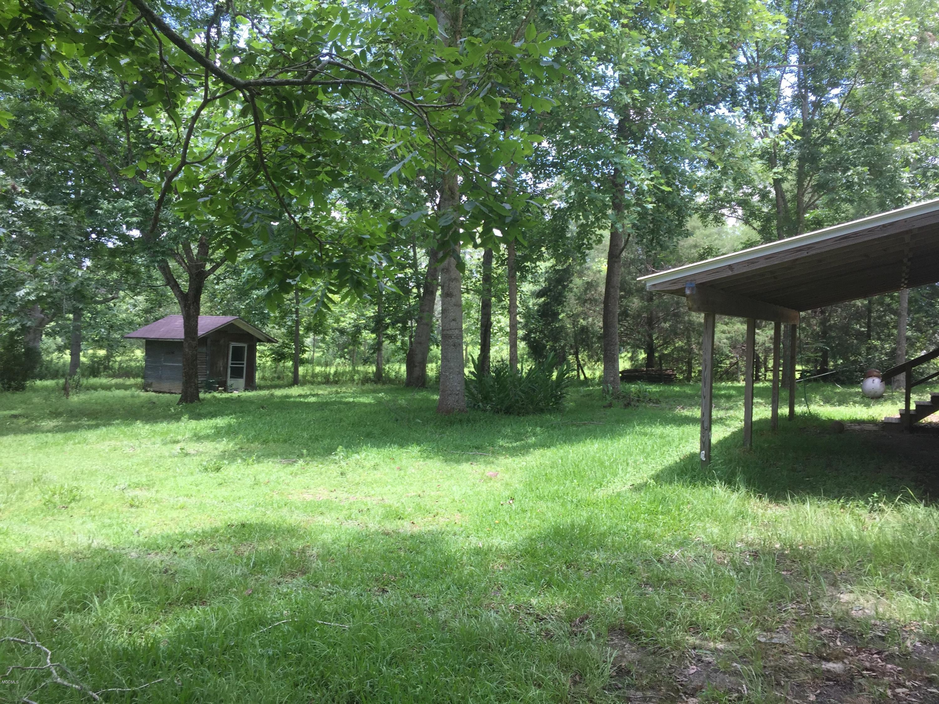back yard in spring