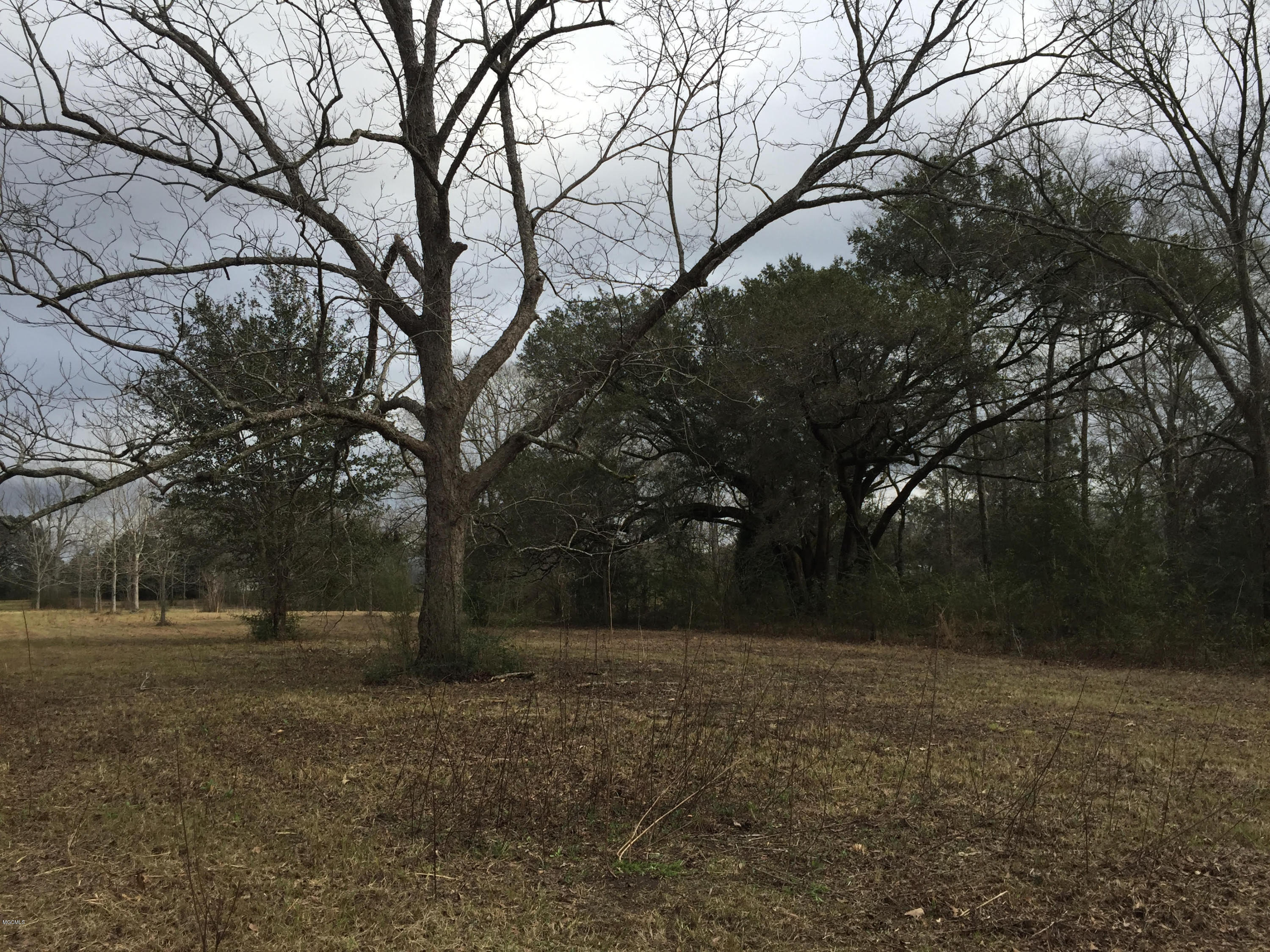 26369 Wolf Creek Road Kiln, MS 39556 - Photo 32 of 37 Orchard 2