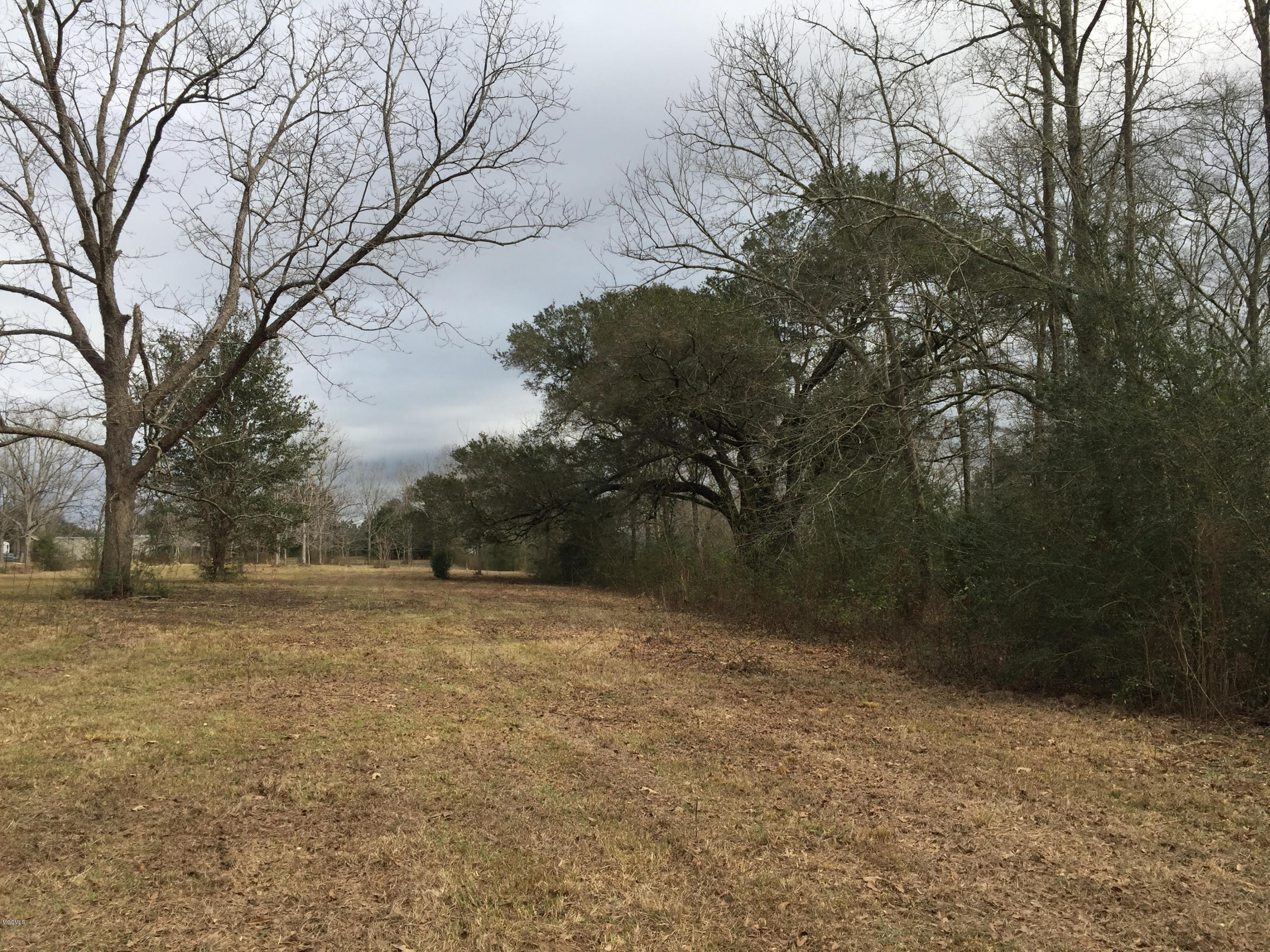 26369 Wolf Creek Road Kiln, MS 39556 - Photo 33 of 37 Orchard 3