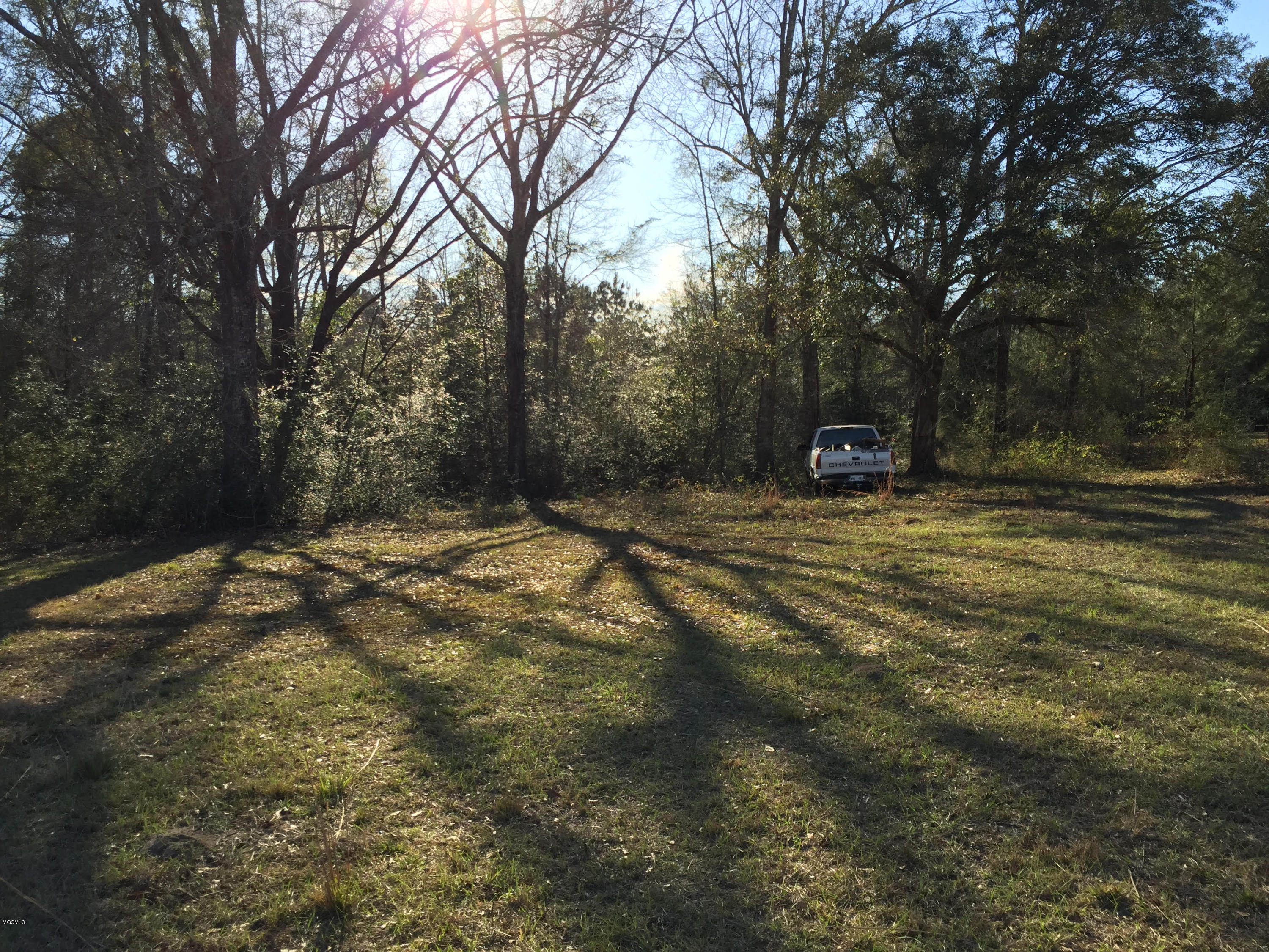 26369 Wolf Creek Road Kiln, MS 39556 - Photo 36 of 37 orchard 5