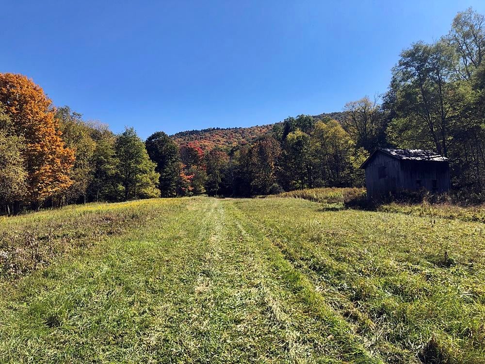 Dry Branch Road Slatyfork, WV 26291 - Photo 8 of 9 Gallery Image 8