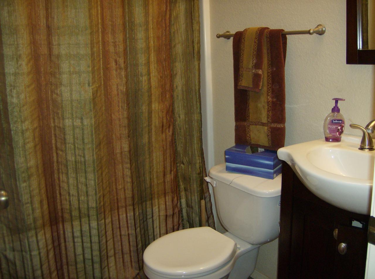 16030 West Skinner Road Surprise, AZ 85387 - Photo 11 of 23 Full Guest Bath